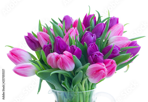 Pink fresh tulips © neirfy
