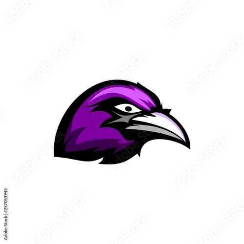 raven head logo sport