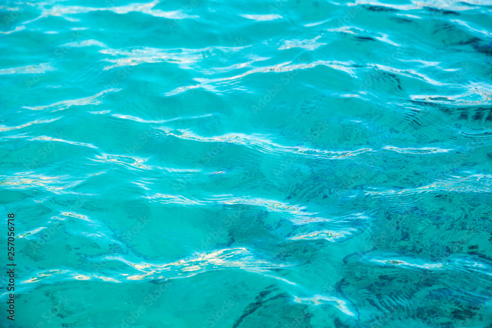 Fototapeta premium Coral reef is visible through the clear blue water. Beautiful blue sea wave photograph close up. Beach vacation at sea or ocean. Background to insert images and text. Tourism, travel.