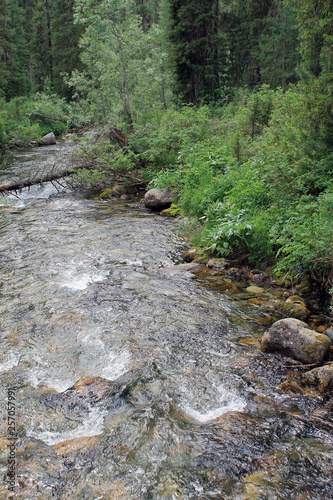 The mountain stone river in the forest. © lkurganskaya