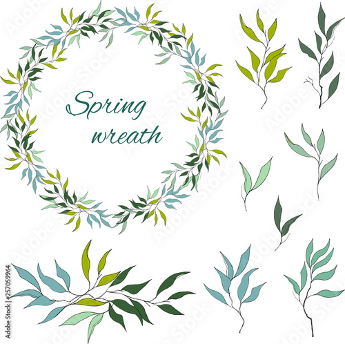 Set of green floral patterns, ornaments and vector wreaths of green olive leaves and vectors for decoration. The concept of spring ornament.