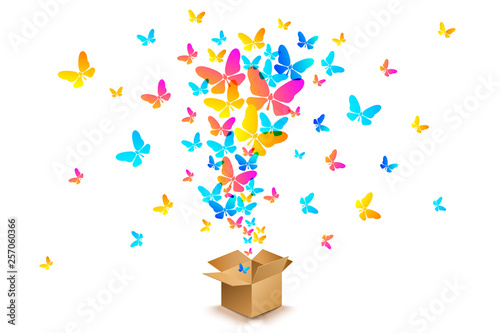 butterflies from open cardboard box