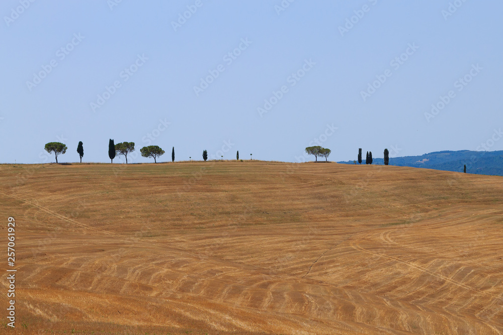 Obraz premium Tuscany hills panorama summer view, Italian landscape