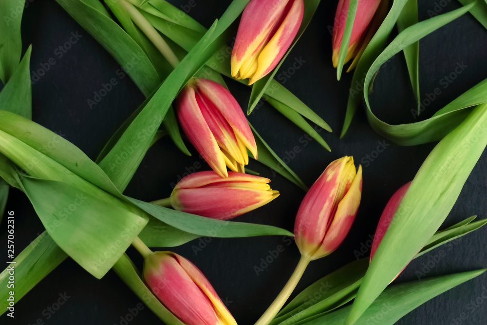 Yellow red flowers tulips bouquet with green leaves and stem on a black slate background flat lay top view with free copy space for text Yellow red flowers tulips bouquet with green leaves and stem on a black slate background flat lay top view with free copy space for text