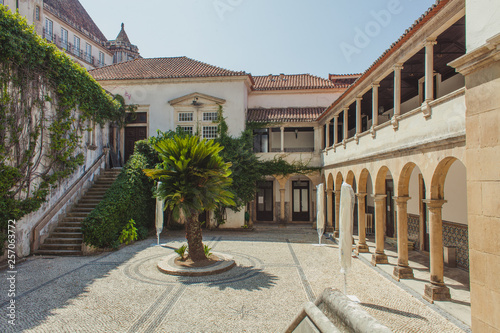 courtyard with palm tree and columns