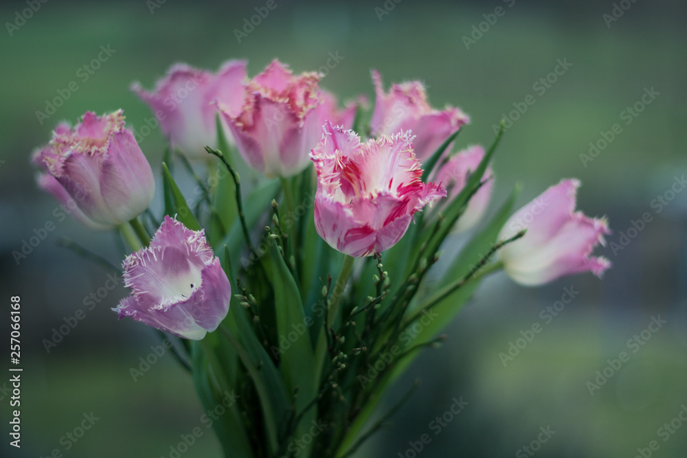 Fransentulpen in rot und rosa gebunden Fransentulpen in rot und rosa gebunden