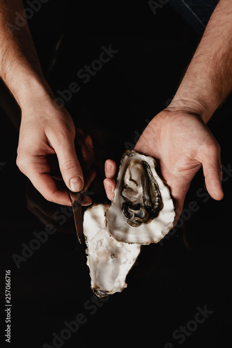 hands open the oyster with a knife photo