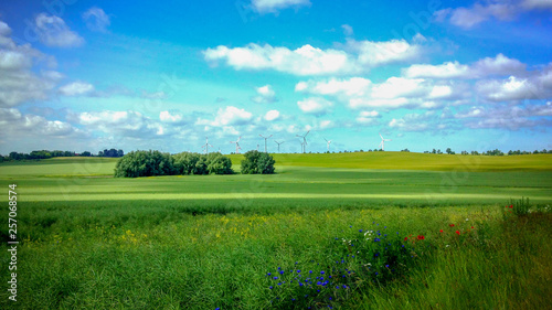 Sommerwiese Windräder Green Power © RayEngel