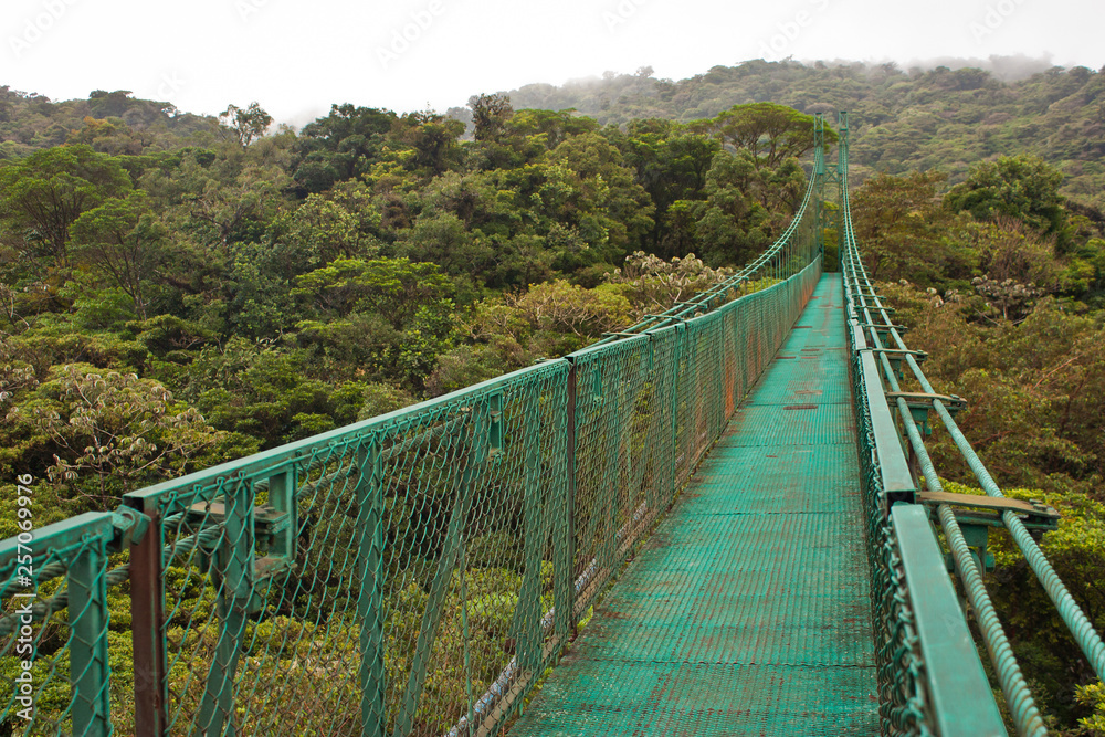 Hanging bridge in Monteverde reserve in Costarica
