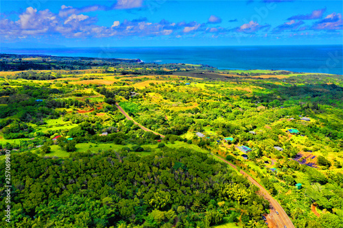 Fototapeta Naklejka Na Ścianę i Meble -  Hawaii Luftbilder - Luftbildaufnahmen mit Drohne 