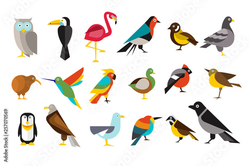 Various bird set colorful vector illustrations