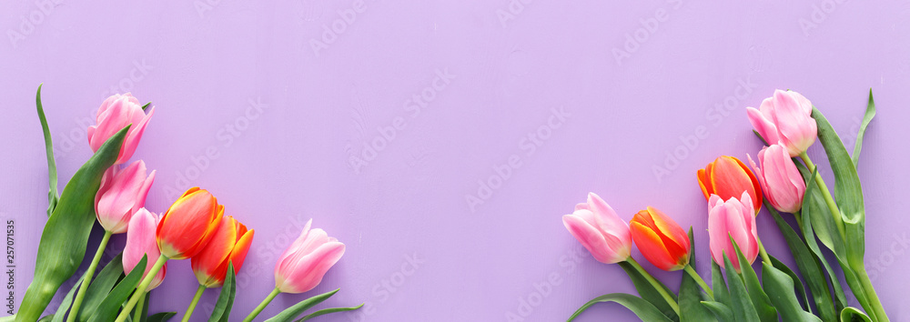 bouquet of orange and pink tulips over pastel purple wooden background. Top view. banner