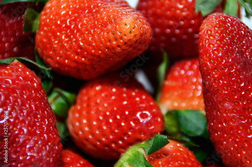 Wallpaper Mural ripe red spring strawberries Torontodigital.ca