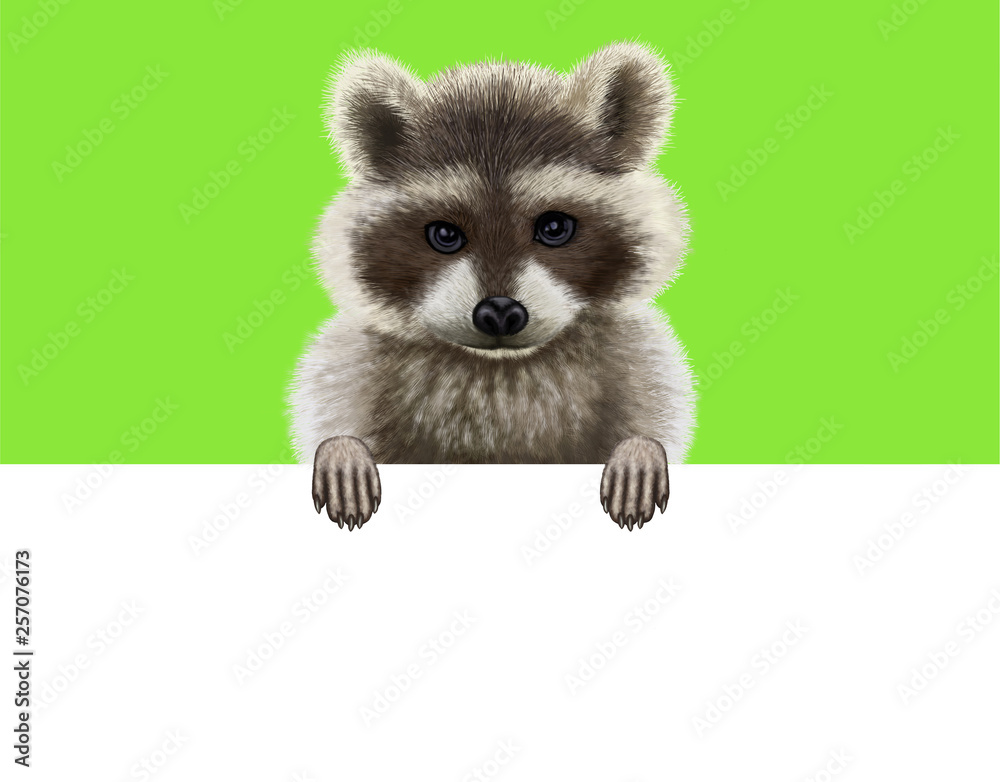 Plakat Raccoon on a green background holding a white billboard