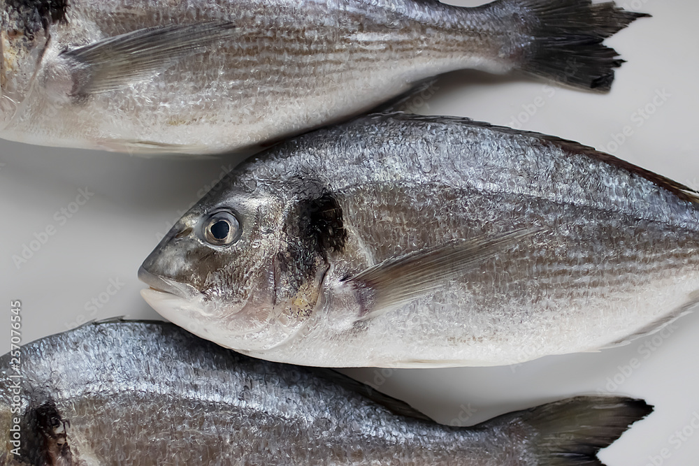 Obraz premium Fresh dorada fish on a white tray.
