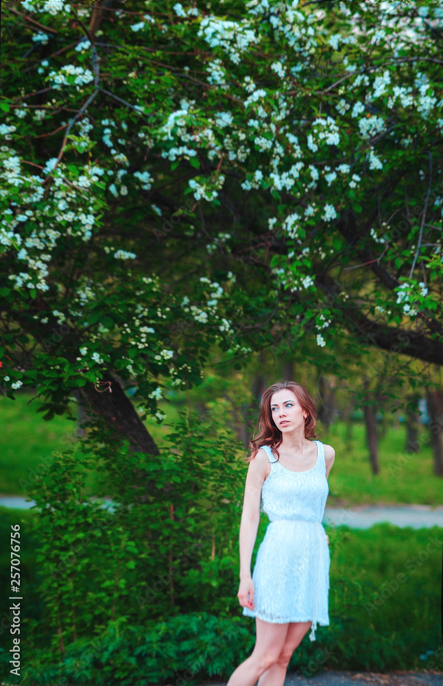 beautiful woman with brunette hair in white dress posing on a background of blooming apple trees beautiful woman with brunette hair in white dress posing on a background of blooming apple trees