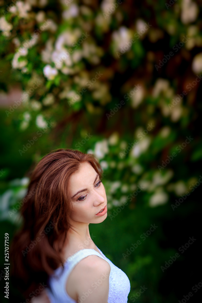beautiful woman with brunette hair in white dress posing on a background of blooming apple trees beautiful woman with brunette hair in white dress posing on a background of blooming apple trees
