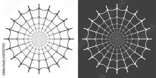 Vector illustration of spider web