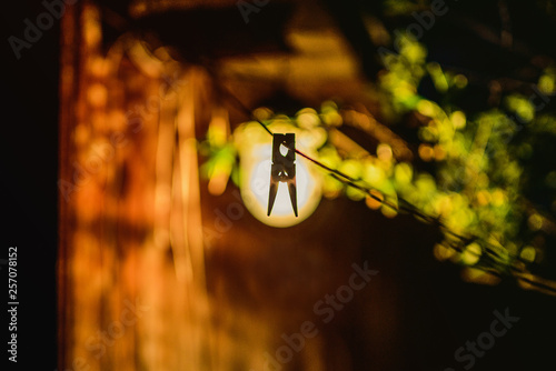 life of one pine on the rope on background of lamps light at evening in the village