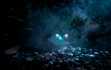 Fantasy glowing mushrooms in mystery dark forest close-up. Beautiful macro shot of magic mushroom or souls lost in avatar forest. Fairy lights on background with fog.