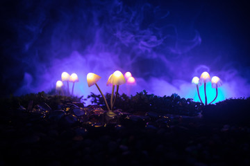 Fantasy glowing mushrooms in mystery dark forest close-up. Beautiful macro shot of magic mushroom or souls lost in avatar forest. Fairy lights on background with fog.