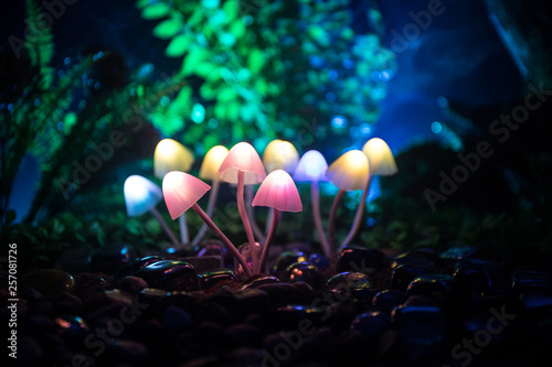 Φωτογραφία Fantasy glowing mushrooms in mystery dark forest close-up