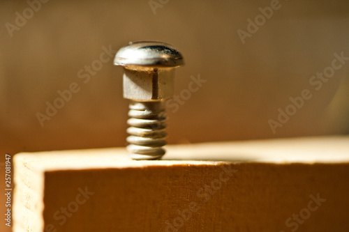 Closeup of capstan screw on piano key