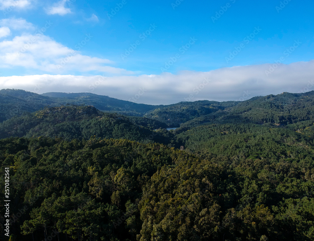 Aerial view from a mountain covered by trees.
