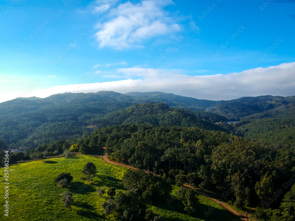 Naklejka premium Aerial view from a mountain covered by trees.
