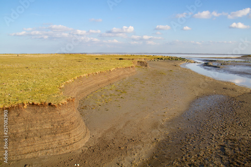 Tidal marsh soil profile in the cutbank of a creek, the result of accretion and erosion, layers of clay with small fragments of shells
