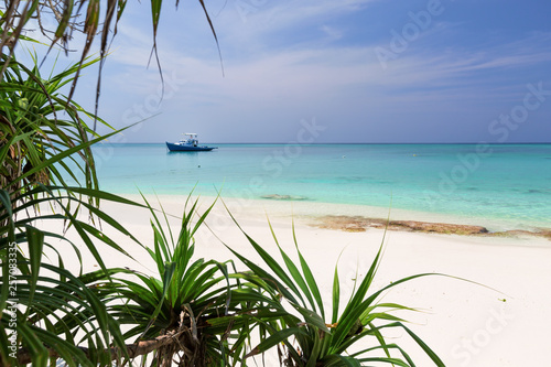 Fototapeta Naklejka Na Ścianę i Meble -  White sandy beach on Maldives island