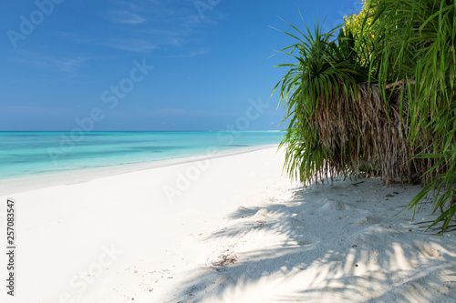 Fototapeta Naklejka Na Ścianę i Meble -  White sandy beach on Maldives island
