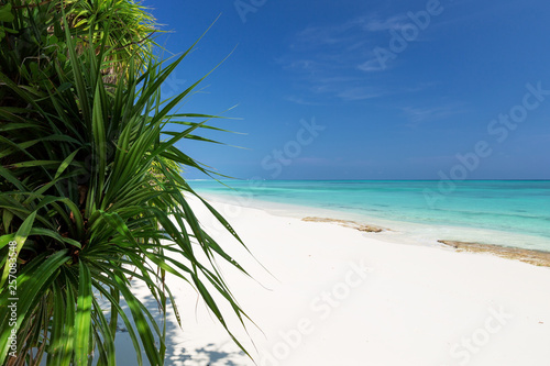 Fototapeta Naklejka Na Ścianę i Meble -  White sandy beach on Maldives island