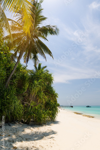 Fototapeta Naklejka Na Ścianę i Meble -  White sandy beach on Maldives island