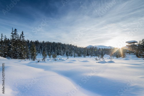 dreamlike snow landscape tyrol
