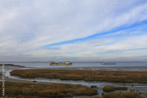 a ship sails along a salt marsh in river scheldt towards antwerp in winter photo