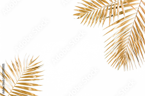 Gold tropical palm leaves on white background. Flat lay, top view minimal concept.