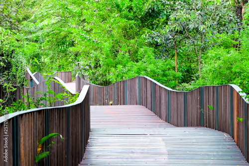 Shadiness of the Bird Wave Bridge, A wave-like wooden bridge is a bridge between Queen Sirikit Park with Wachirabenchathat Park on Chatuchak, Bangkok, Thailand photo