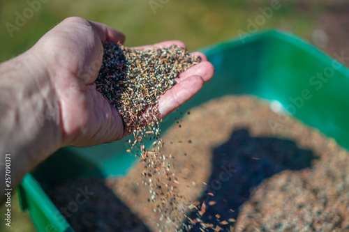 hands of man and woman holding lawn seeds