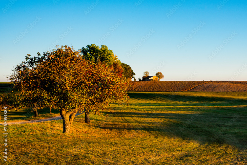 Fototapeta premium autumn scene along the route called Romantic Road, Germany. Blue sky and space for text