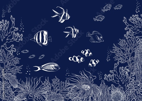 Coral reef with tropical fishes, corals and seaweed. Underwater background. Vector illustration.