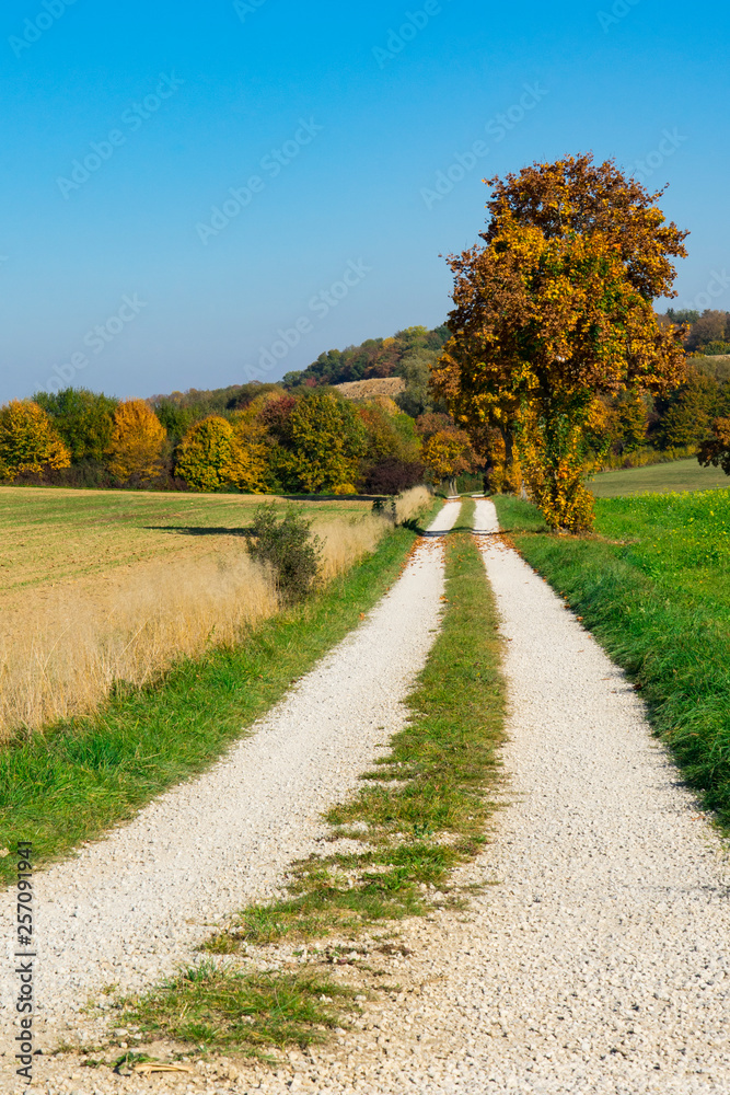 hiking and cycle path and trees in autumn colors along Romantic Road, Germany