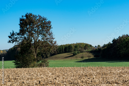 green hill on and hay on route called Romantic Road, Germany. Panorama, blue sky and space for text