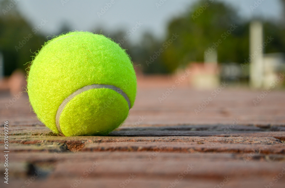 Tennis Ball Closeup