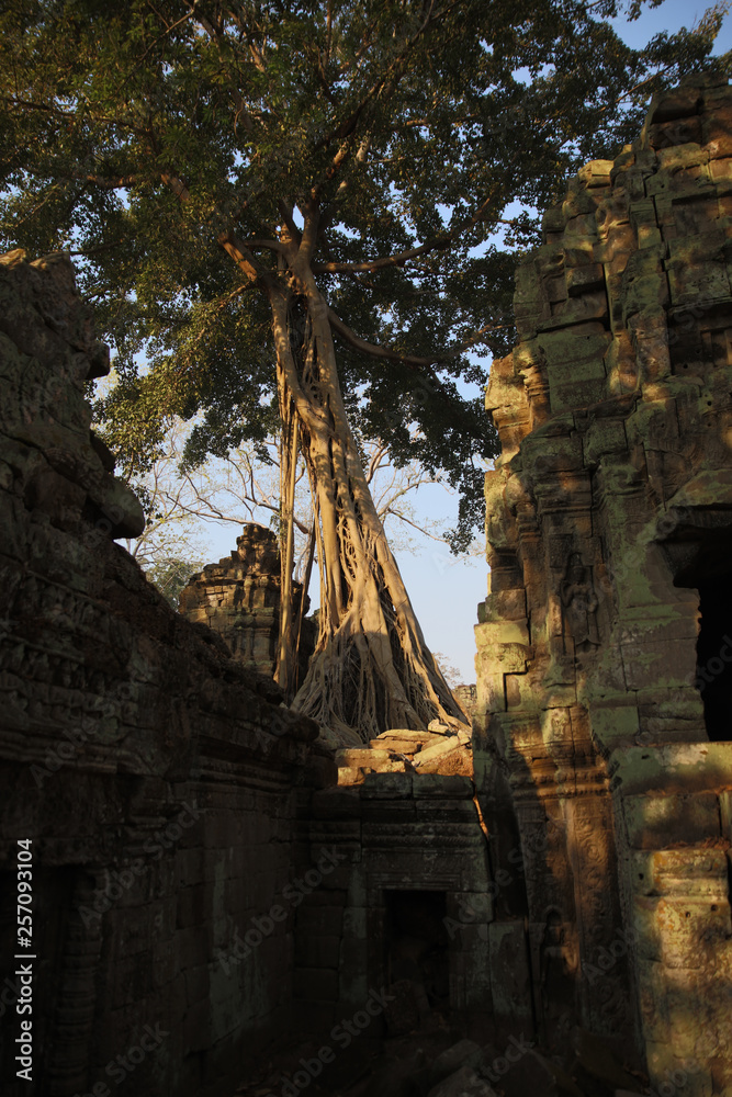 Naklejka premium angkor