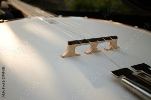 banjo strings and bridge close-up in the evening natural light