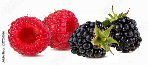 Fresh raspberry and blackberry isolated on white background