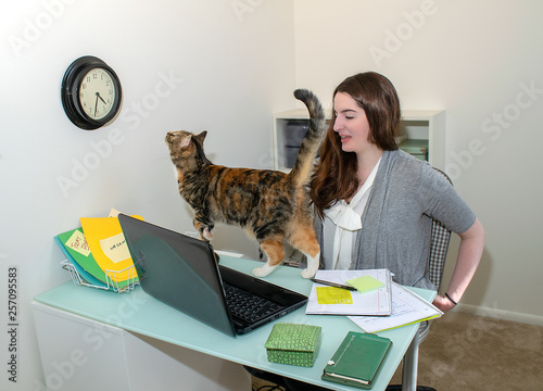 Schilderij op canvas Cat watches clock and interrupts young woman at work