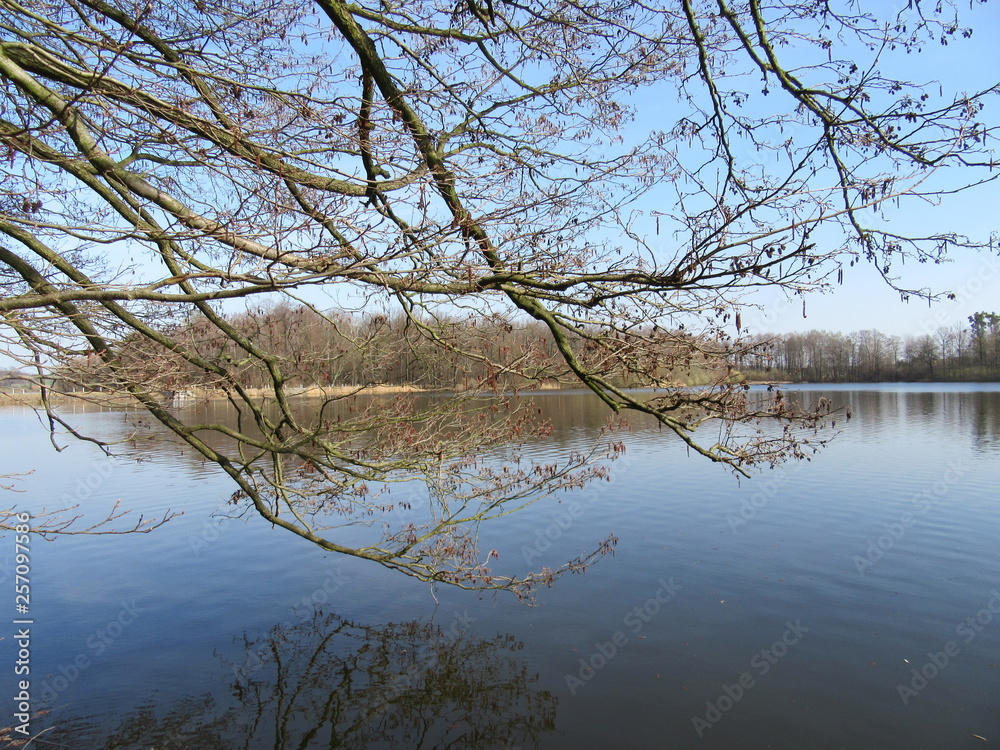Obraz premium Fasanenschlösschen bei Moritzburg