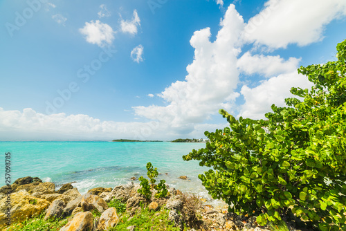 Fototapeta Naklejka Na Ścianę i Meble -  Turquoise water in Le Gosier shore in Guadeloupe